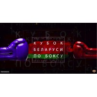 В Гомеле завершился Кубок Беларуси по боксу